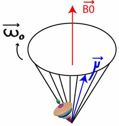 Ce schéma illustre la notion de fréquence de Larmor ω0 pour un corps doué d'un moment magnétique μ, ici une toupie. Si celle-ci est plongée dans un champ magnétique B0, le moment magnétique peut se mettre à effectuer un mouvement de précession avec pour vitesse angulaire la fréquence de Larmor. © info.radiologie.ch