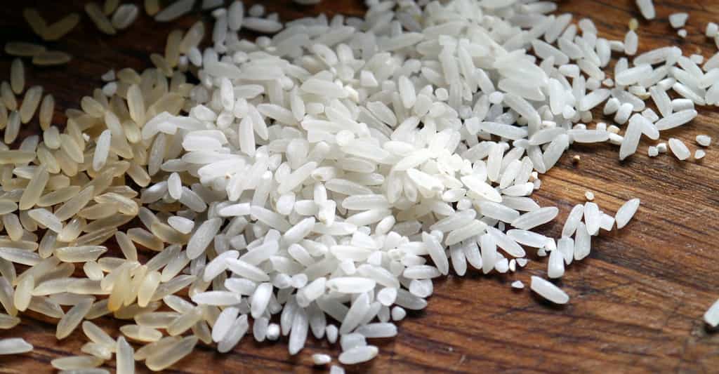 Des chercheurs ont mis au point un riz génétiquement modifié qui pourrait aider à lutter contre le VIH. © ImageParty, Pixabay, CC0