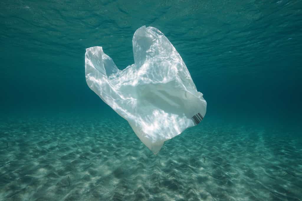 Un sac plastique biodégradable à partir de calcaire qui se dissout dans l’eau. © damedias - Fotolia.com