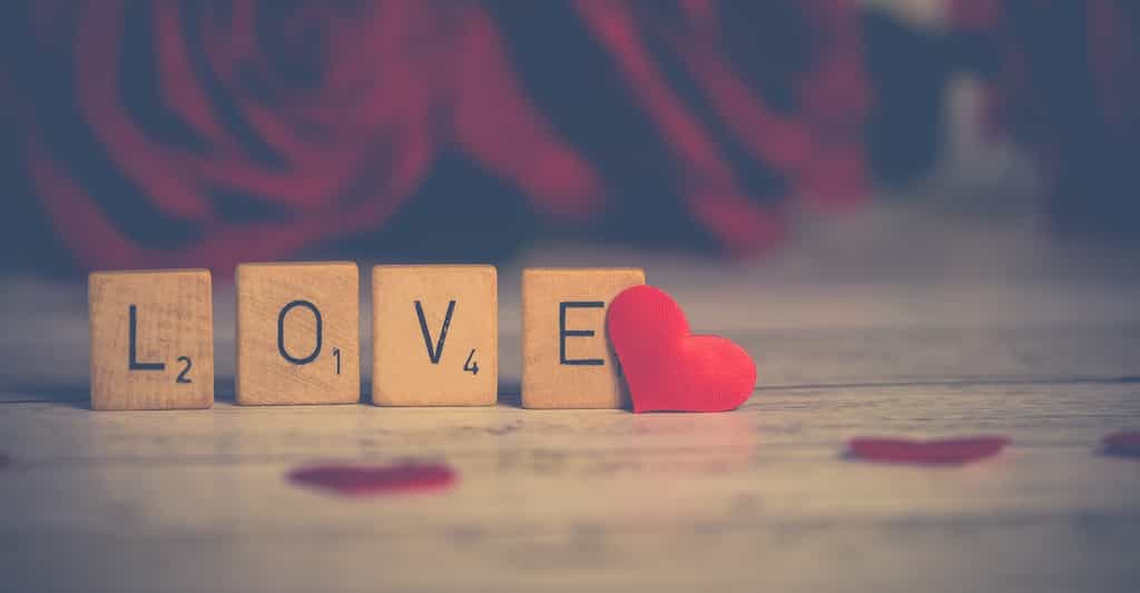 Certains affirment que c’est le 14 février, jour de la Saint-Valentin, que la saison des amours débute chez les oiseaux… © Nietjuh, Pixabay, CC0 Creative Commons