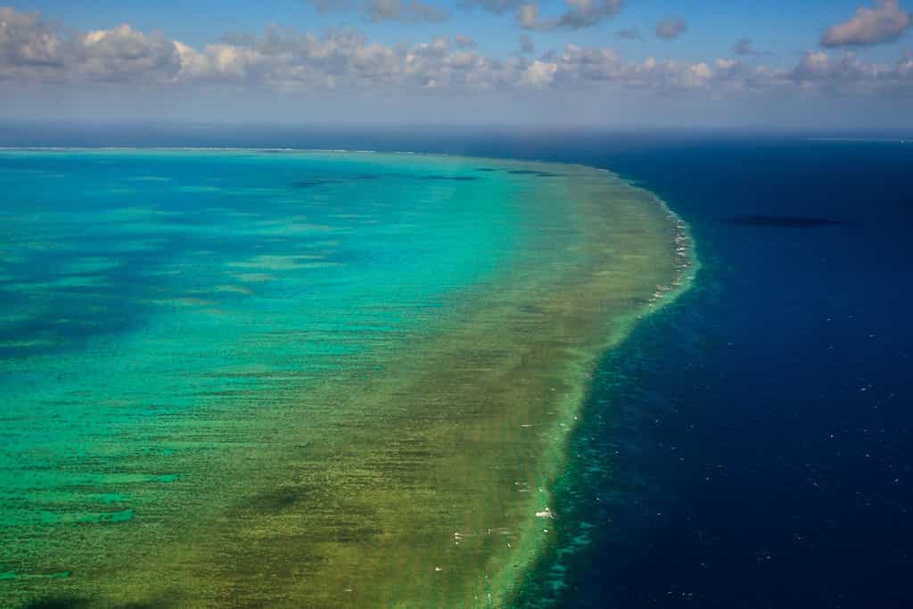 Représentant moins de 0,1 % de la surface des océans, les récifs coralliens comme celui de la Grande Barrière de corail australienne abritent environ un quart des espèces marines. L’acidification des océans menace de les mettre en péril d’ici 2050. © Pete Niesen, Shutterstock.com