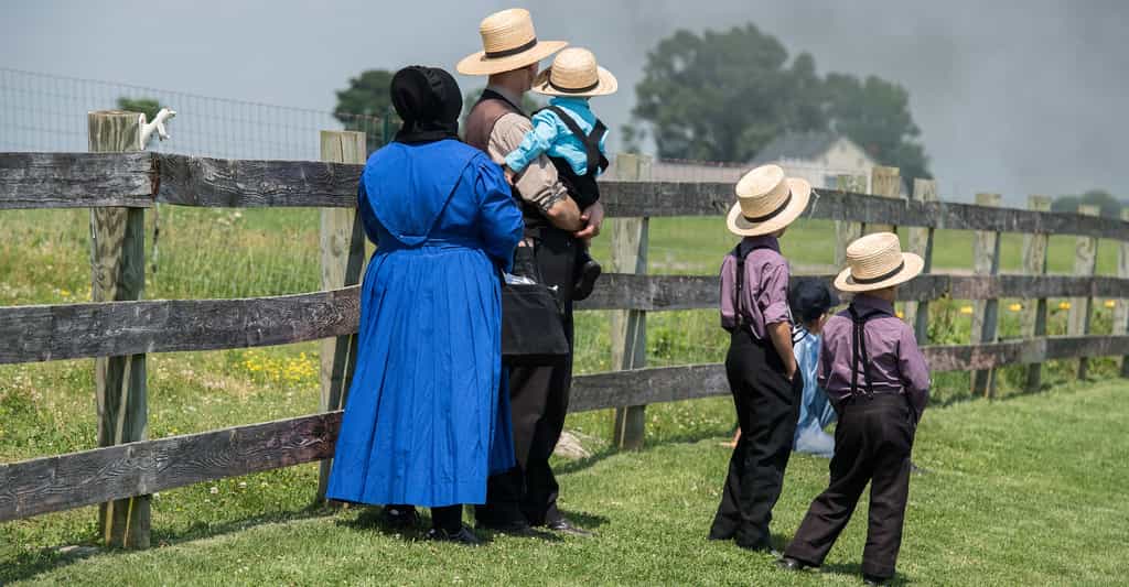 Seuls 5 % des enfants Amish en âge d’être scolarisés ont de l’asthme, soit la moitié de la moyenne nationale américaine. Les enfants Huttérites, eux, connaissent un taux d’asthmatiques inhabituellement élevé, à 21,3 %. La principale raison ? Les poussières dans leurs maisons. © Andrea Izzotti, shutterstock.com