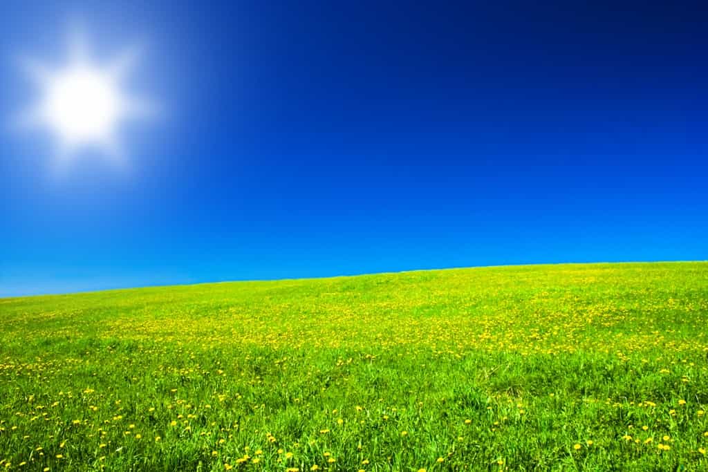 Les rayons du Soleil n'influencent pas que le moral. Ils permettent la production de la vitamine D chez l'Homme, laquelle contribuerait de multiples façons à sa santé. © Vyacheslav Osokin,&nbsp;shutterstock.com