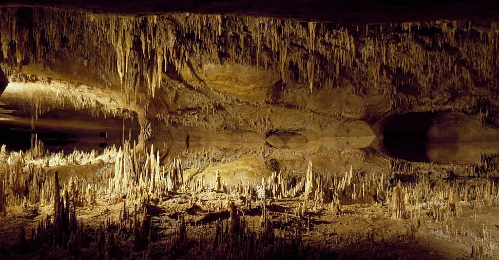 Certaines grottes des Pyrénées ont été façonnées par l'acide sulfurique. © skeeze, Pixabay, CC0