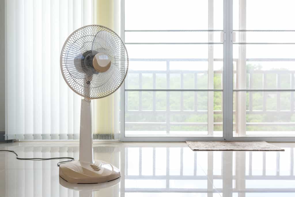 4 conseils à prendre en compte lors de l'achat d'un ventilateur © bouybin, Adobe Stock