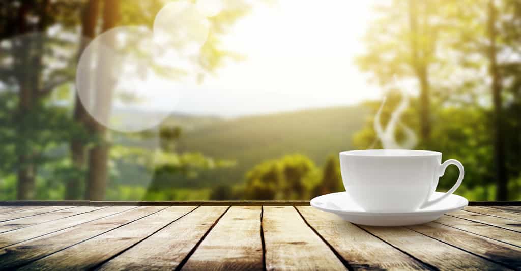 Les termes théine et caféine renvoient à une seule et même molécule. Dont les effets sur l’organisme s’avèrent différents qu’elle soit absorbée avec un thé ou avec un café. © robert, Fotolia