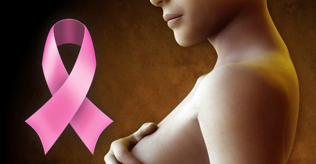 Le Palbociclib est un nouveau médicament oral efficace dans la lutte contre le cancer du sein. La petite molécule inhibitrice de deux protéines qui le compose a été autorisée aux États-Unis en 2015 et devrait l’être en France en 2016, étant donné les excellents résultats des études cliniques. © DR