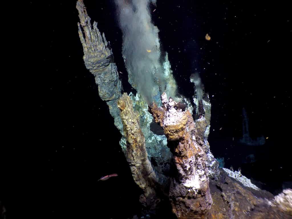 Cheminée hydrothermale du champ hydrothermal de Jan Mayen. © Thibaut Barreyre (imaggeo.egu.eu)