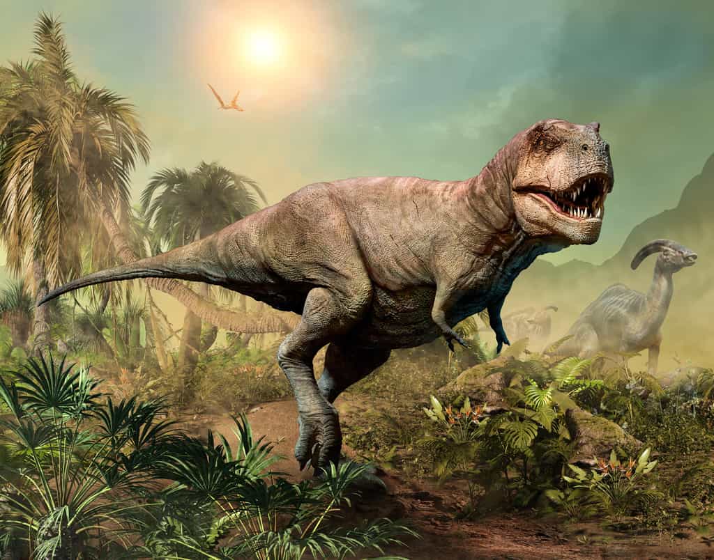 Le tyrannosaure a parcouru les terres du monde il y a 68 à 66 millions d'années, avant de disparaître durant l'extinction du Crétacé-Paléocène. © Warpaintcobra, Adobe Stock