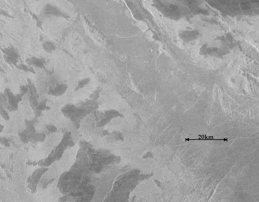  Les zones les plus claires sur ces images radar de la région d'Ovda sur Vénus sont des hauts plateaux. Ils portent des sommets qui apparaissent plus sombres et dont la composition intrigue les planétologues. © Harringtong Trieman, Nasa, JPL-Caltech