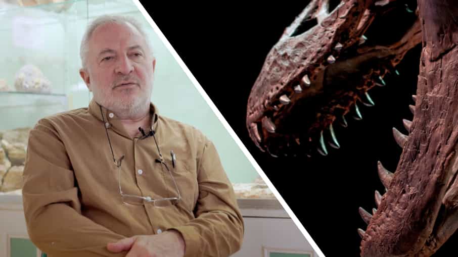Interview : des dinosaures dans le sud de la France ?
