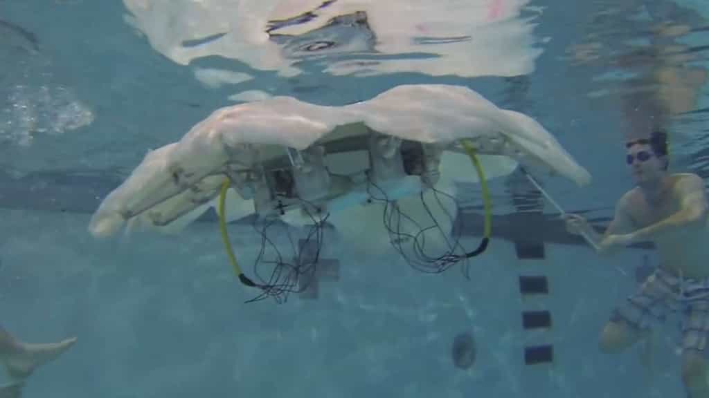 Cyro, un robot sous-marin qui nage comme une méduse