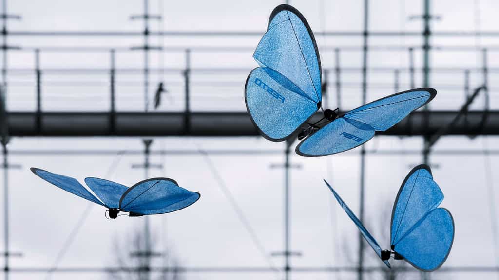 D'impressionnants papillons bioniques volent de façon autonome