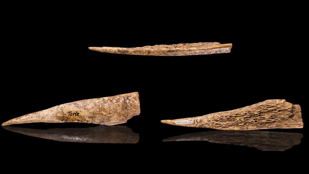 Tracéologie : lorsque l’étude des traces dévoile la fonction d’objets préhistoriques