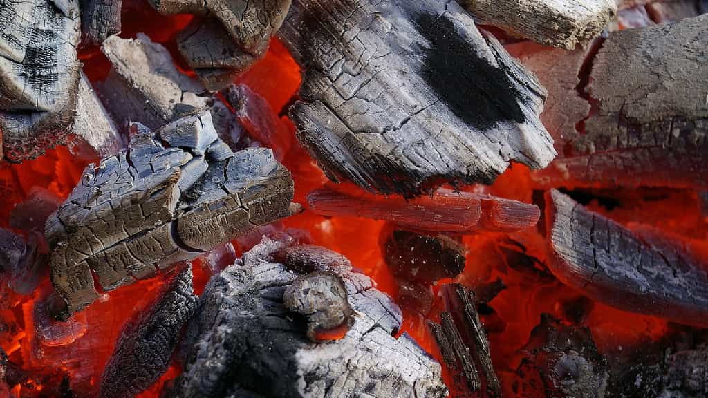 l'anthracologie : l’étude archéologique des charbons de bois