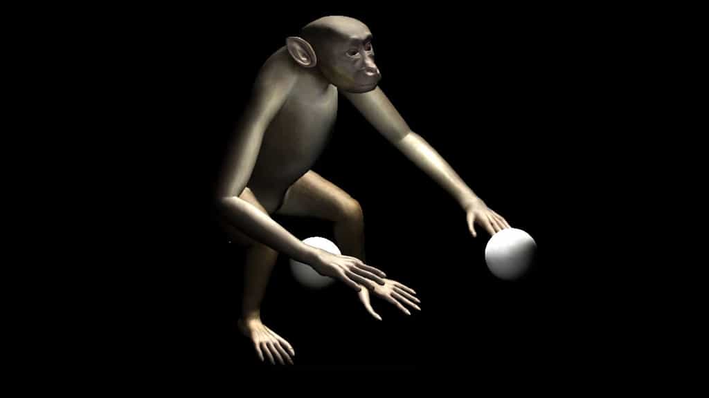 Des macaques prennent le contrôle d'un avatar