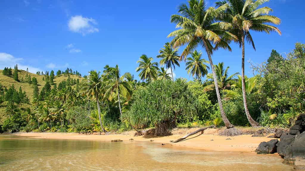 L'île de Taravai, Gambier, avec Antoine