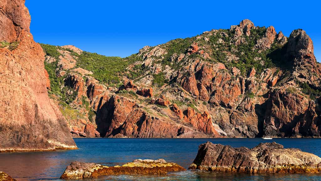 Corse, réserve naturelle de Scandola, avec Antoine