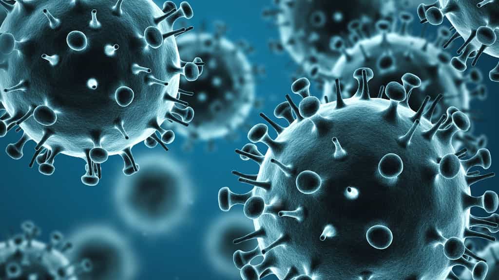 Explications sur le virus de la grippe