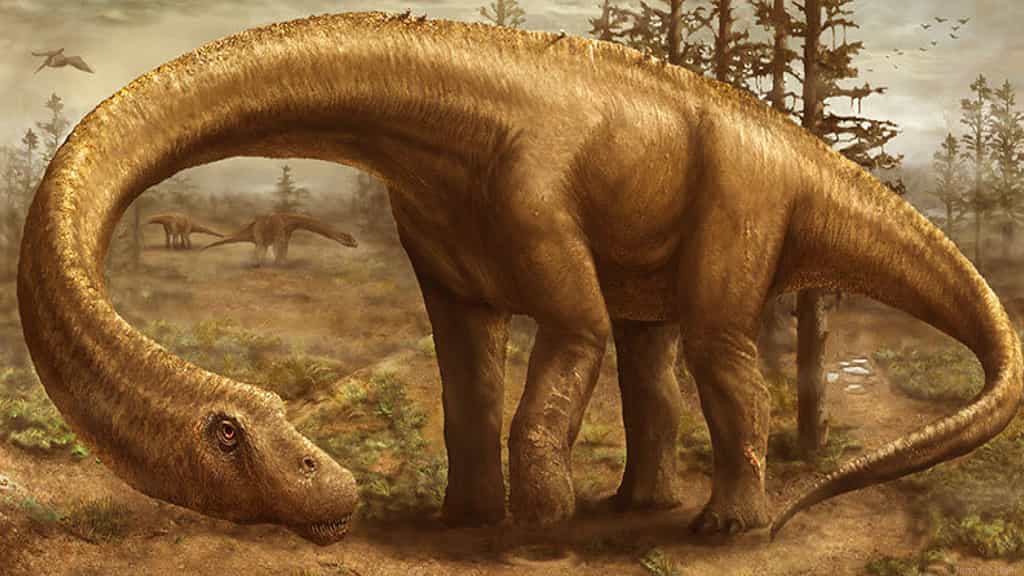 Découverte d'un dinosaure supermassif, le Dreadnoughtus schrani