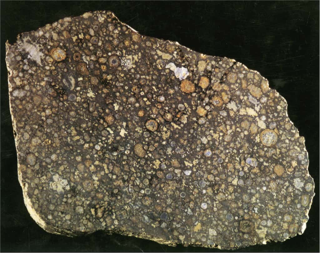 Une chondrite, météorite constituée de chondres dont on distingue la forme sphérique. © Nasa