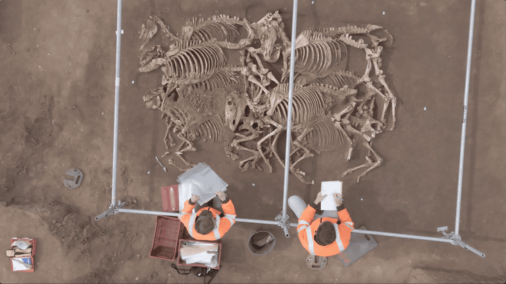 Les fouilles se déroulent sur 1,3 hectare, les archéologues ayant actuellement excavé deux fosses sur neuf. © François Goulin, Inrap
