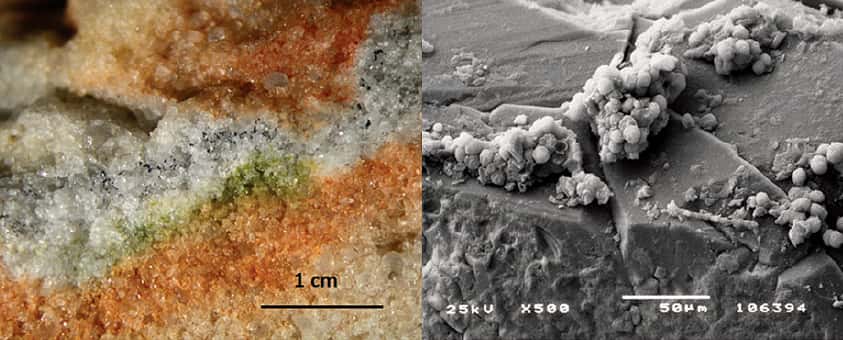 À gauche : section de roche colonisée par des micro-organismes cryptoendolithiques ; à droite : ces mêmes types de champignons (<em>Cryomyces</em>) dans des cristaux de quartz au microscope électronique. © S. Onofri <em>et al.</em>