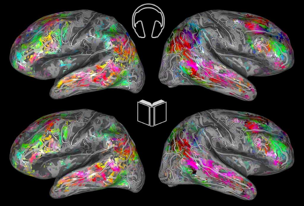 Les cartes cérébrales codées par couleur montrent les similitudes sémantiques lors de l'écoute (en haut) et de la lecture (en bas). © Fatma Deniz