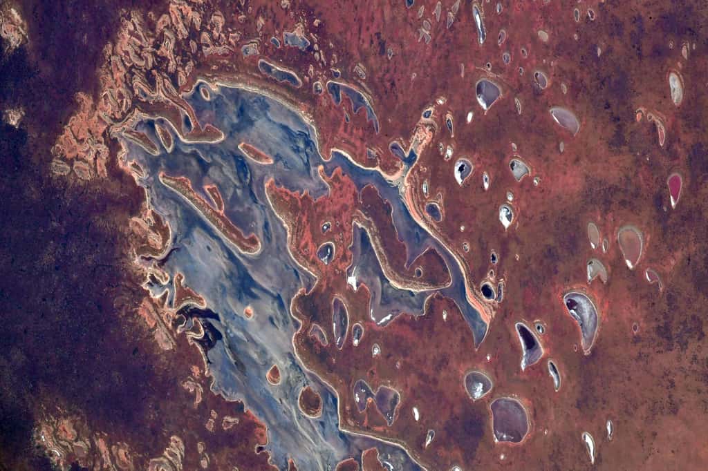 Le <em>Jubilee Lake</em>, situé au nord-ouest de Melbourne, en Australie. La forme du lac et les couleurs contrastées donnent un aspect surréaliste à la photographie. © ESA, Nasa, Matthias Maurer 
