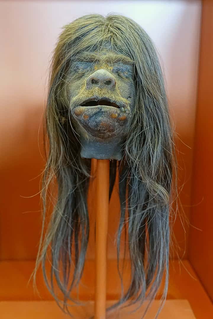 Cette contrefaçon de <em>tsantsa</em> est trahie entre autres par sa peau grise et sa bouche ouverte. © Daderot, <em>Redpath Museum</em>
