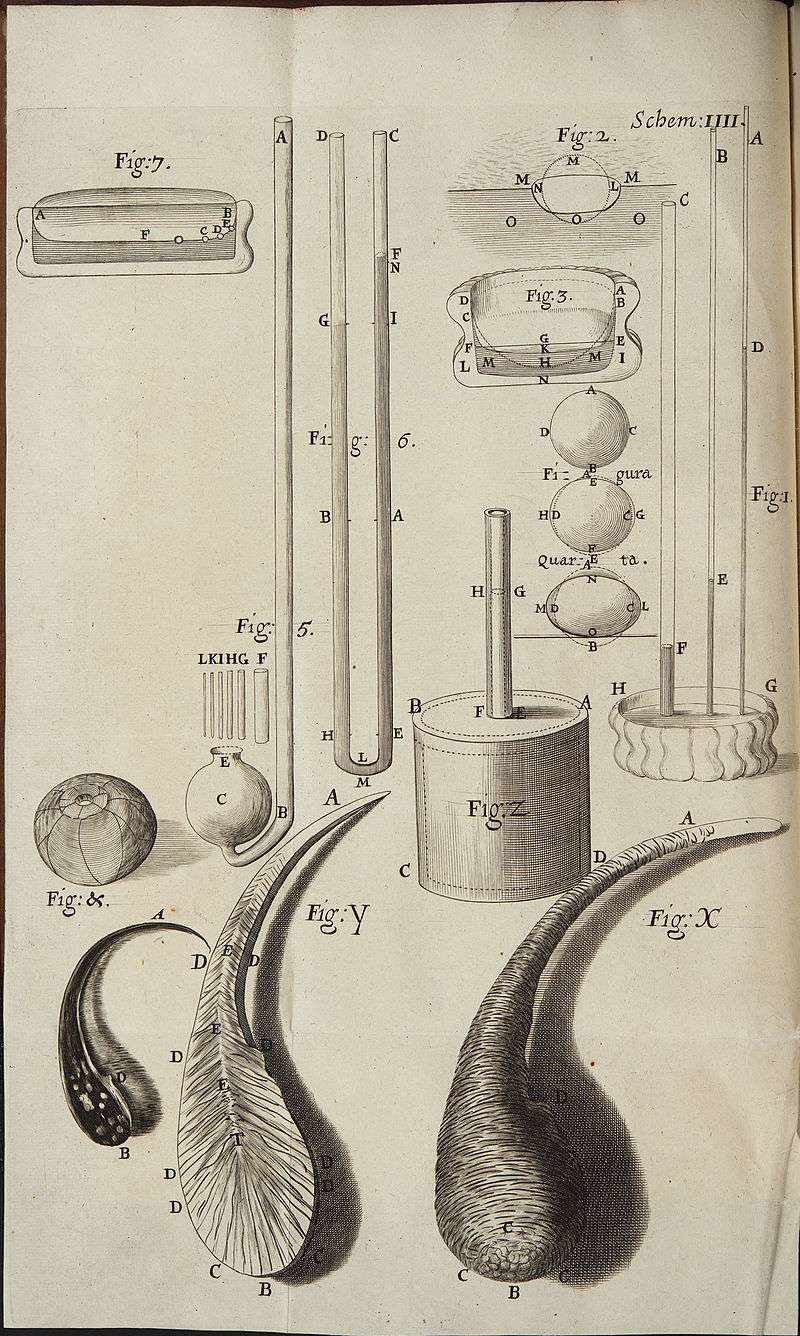Illustration de larmes bataviques et de leur structure dans <em>Micrographia</em>, le sublime livre de science rédigé et illustré par Robert Hooke. © <em>National Library of Wales</em>