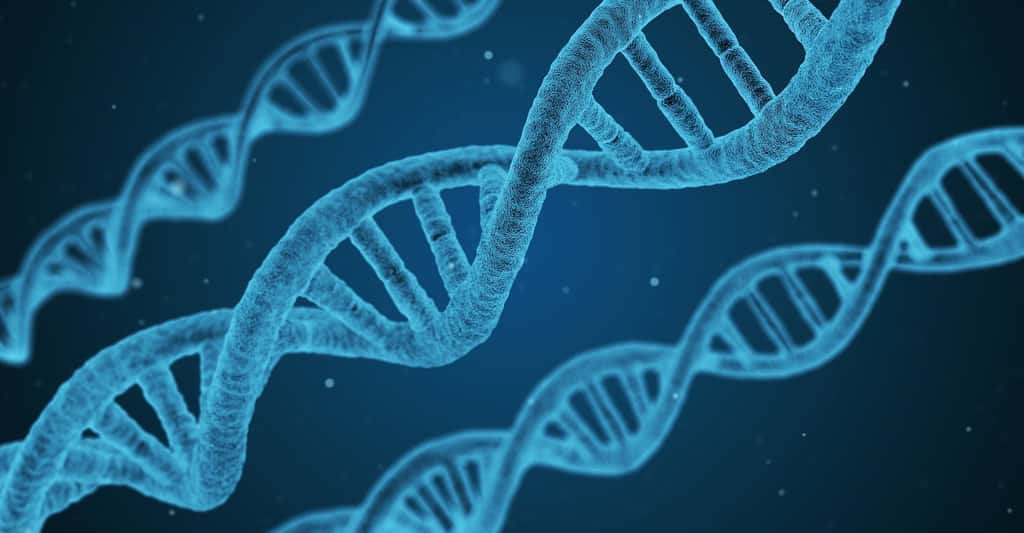 Des chercheurs ont créé un organisme semi-synthétique stable à partir d’un ADN enrichi de deux bases azotées artificielles. © qimono, Pixabay, CC0 Public Domain