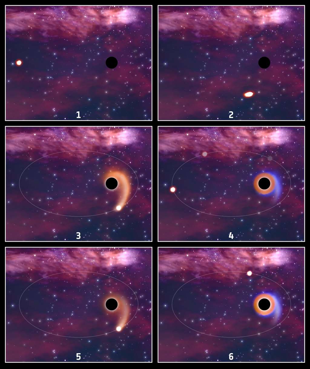 Vue d'artiste montre une étoile en orbite autour d'un trou noir (panneau 1). En s'approchant du trou noir, l'étoile commence à être déchiquetée (panneau 2). Un flux de matériau (orange) arraché des couches externes de l'étoile tombe vers le trou noir (panneau 3). Ce flux alimente le trou noir et forme un disque autour de lui (panneau 4). La matière stellaire restante du flux est colorée en bleu. Cet événement de rupture par effet de marée crée des explosions de rayons X, d'UV et de lumière optique. En de rares occasions, le noyau de l'étoile survit et commence une autre orbite elliptique du trou noir. Le disque entourant le trou noir s'estompe (panneau 5). L'étoile s'approche à nouveau du trou noir et une autre explosion de lumière est libérée (panneau 6). La couleur plus pâle du disque d'accrétion, par rapport au panneau 4, indique que les sursauts de lumière sont plus faibles après la première rencontre avec le trou noir, car moins de matière est tirée dans le disque depuis l'étoile. © ESA, CC by-sa 3.0 IGO