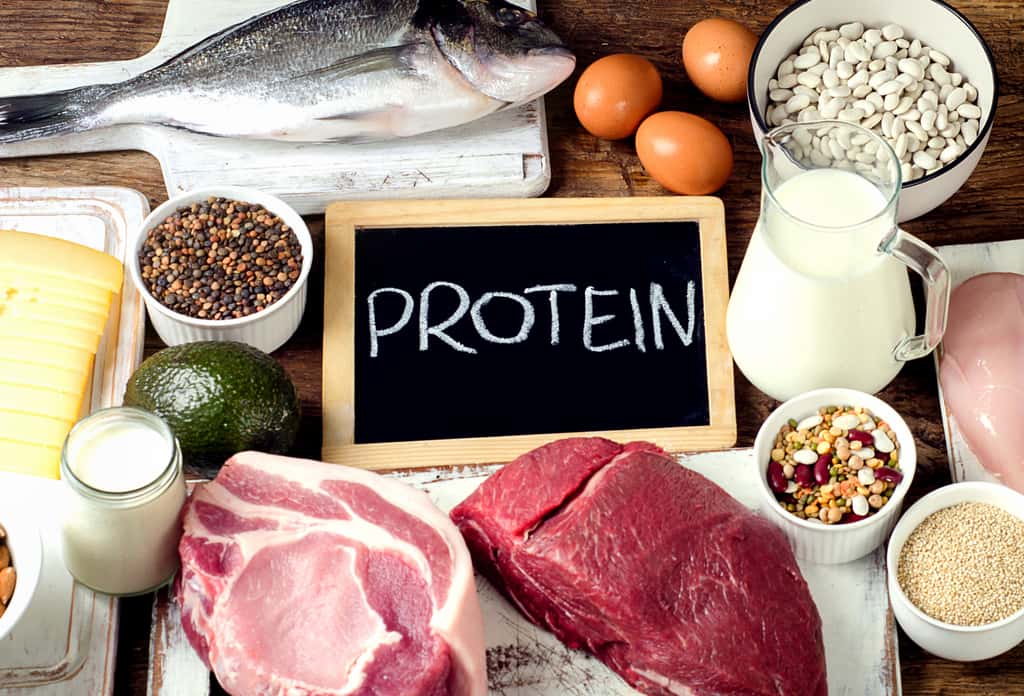 L'alimentation doit être votre première et principale source de protéine (animale ou végétale). © bit24, Adobe Stock