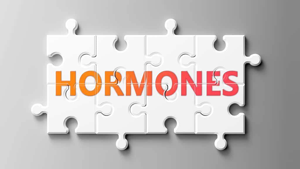 Les hormones sont associées à des comportements radicalement différents selon le contexte social. © GoodIdeas, Adobe Stock