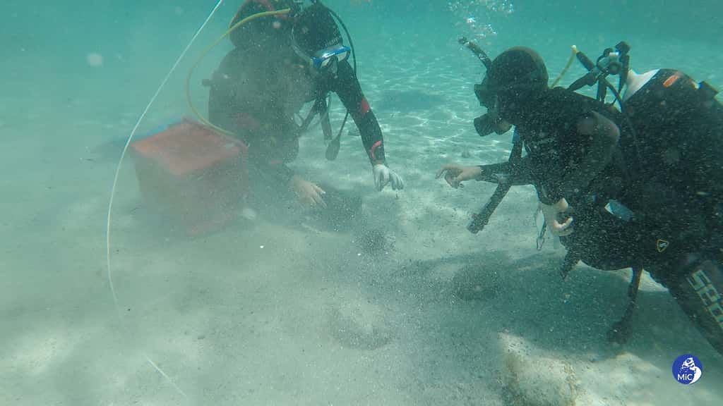 Des plongeurs professionnels, dont des carabiniers, photographiés lors de la mission de récupération des pièces de bronze en mer Tyrrhénienne. © Ministère de la Culture italien 