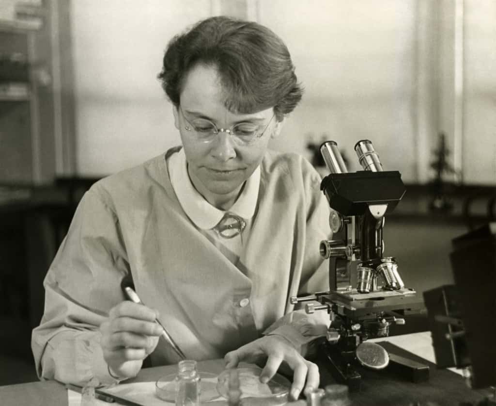 Barbara McClintock (1902-1992) dans son laboratoire de <em>Cold Spring Harbor Laboratory</em>, à New York, en 1947. © <em>Smithsonian Institution</em>, <em>Science Service</em> ; restauration Adam Cuerden