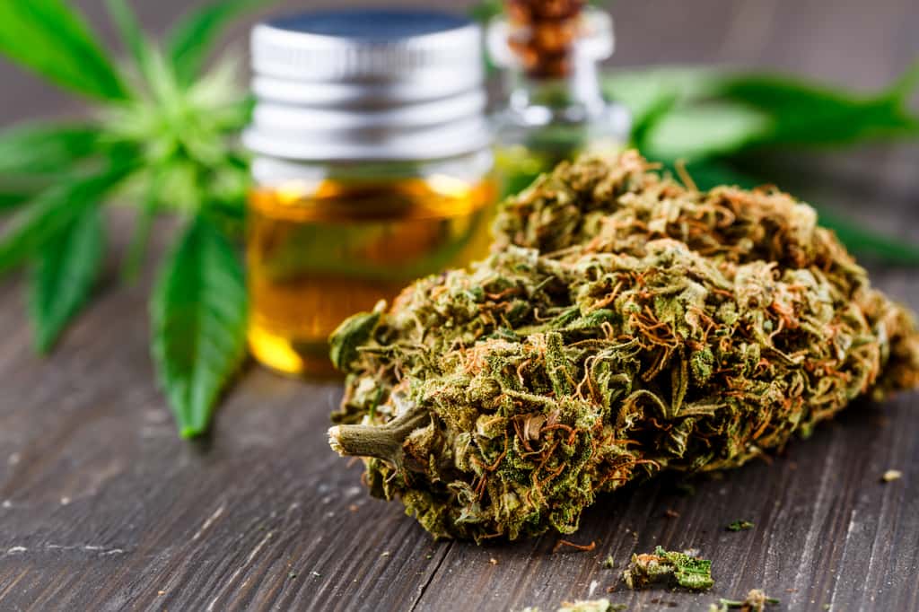Les résultats montrent que l'inhalation de cannabis à dominante THC et équivalent THC/CBD altèrent durablement le DSLP en comparaison avec le cannabis placebo contrairement au cannabis à dominante CBD. © Bukhta79, Adobe Stock
