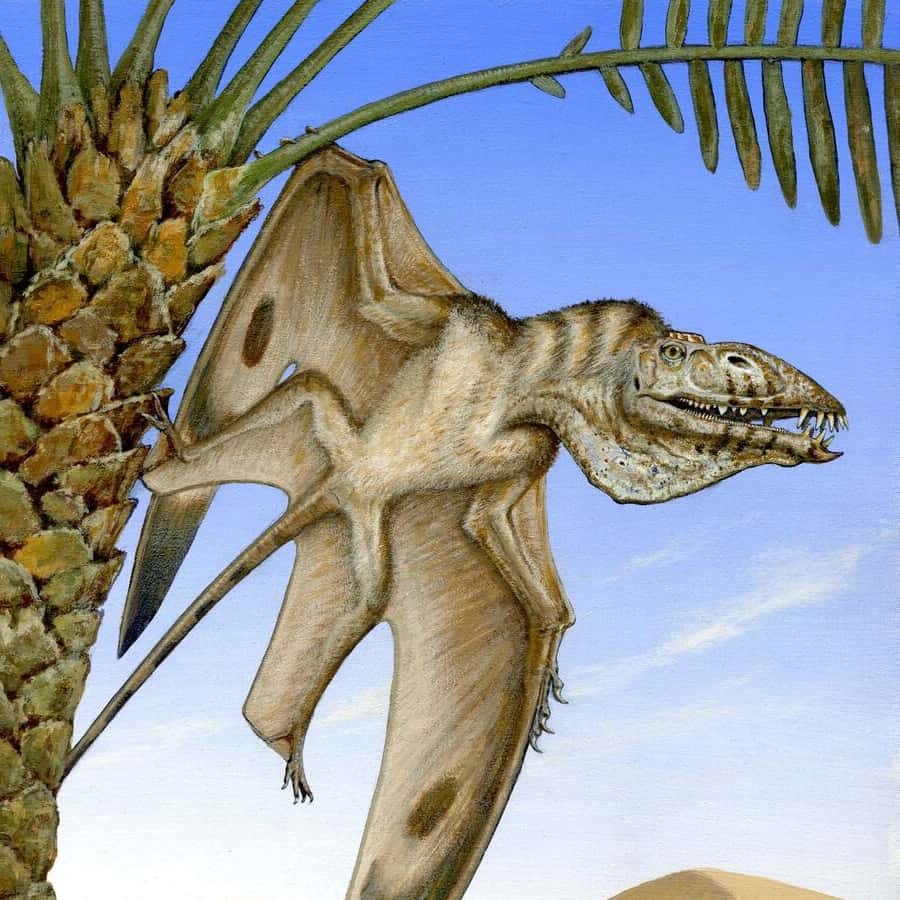 Représentation de <em>Caelestiventus hanseni</em>, un ptérosaure du Trias, d’une envergure d’environ 1,50 mètre. © Brooks B. Britt <em>et al.</em>, BYU Photo et <a href="http://www.dinosaursinart.com" title="Michael Skrepnick" target="_blank">Michael Skrepnick</a> (dessin)