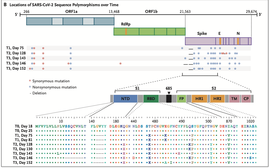 L'évolution des mutations du SARS-CoV-2 chez un patient immunodéprimé. © <em>New England Journal Of Medicine</em> 