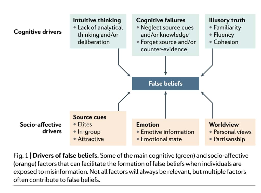 Les différents moteurs (cognitifs et socio-affectifs) de l'adhésion envers les fausses nouvelles. © Nature