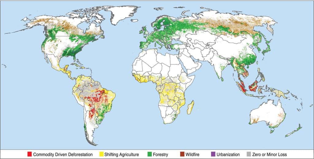 L’essentiel de la déforestation « non durable » (en rouge) est constaté au Brésil et en Asie du Sud-Est. L’exploitation forestière (en vert) est prédominante en Europe et en Amérique du Nord. © Philip G. Curtis <em>et al.</em>, <em>Science</em>, Sep 2018.