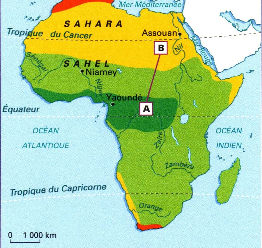 Le Sahel est la zone délimitant le passage du Sahara aux savanes africaines. © SotaLCB2416, Adobe Stock