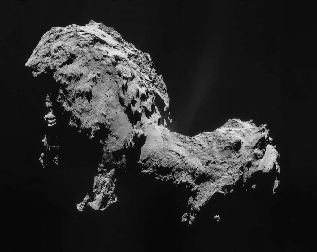 Le noyau cométaire de la comète Tchouri, de couleur très sombre, est de forme bilobée qui, pour certains, évoque un canard. © ESA/Rosetta/NAVCAM, CC BY-SA IGO 3.0
