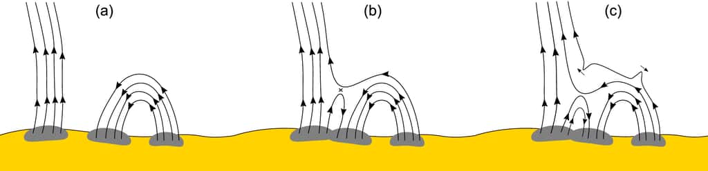 Comment se reconnectent des lignes de champ magnétique ouvertes et fermées. © Zank et al. (2020)