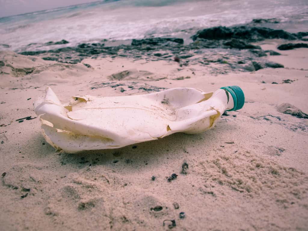 Le plastique représente 12 % des déchets municipaux. © Angela Rutherford, Flickr