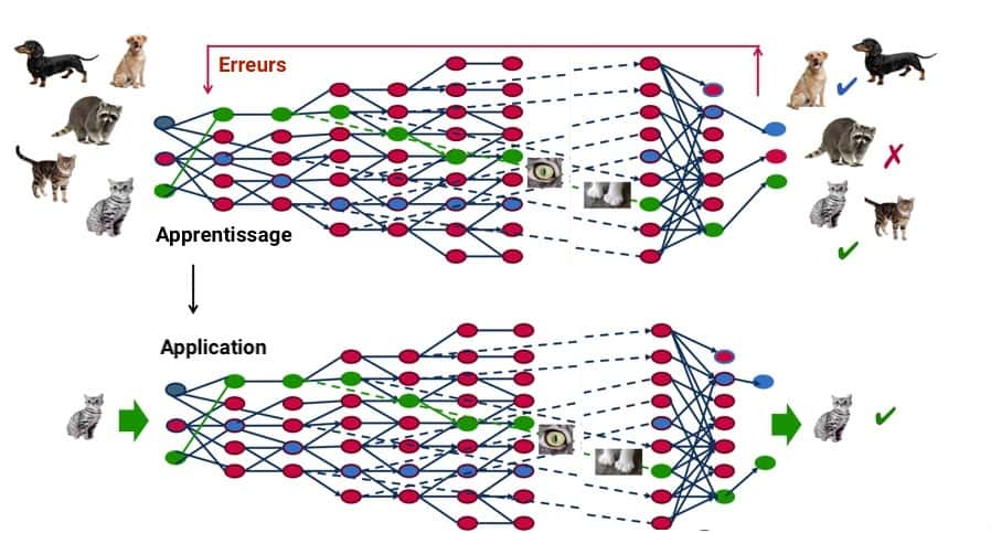 À travers un processus d’autoapprentissage, le deep Learning est capable d’identifier un chat sur une photo. À chaque couche du réseau neuronal correspond un aspect particulier de l’image. © MapR, C.D, Futura