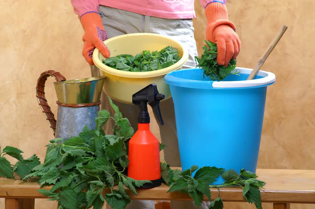 Le purin d'ortie s'achète en jardinerie mais il est aussi simple de le faire soi-même. © 7monarda, Adobe Stock