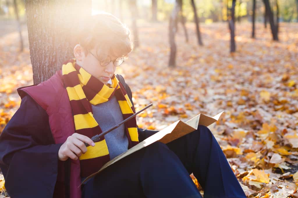 Lire <em>Harry Potter </em>en 47 minutes : miracle magique ou inférences étendues ? © Natali, Adobe Stock