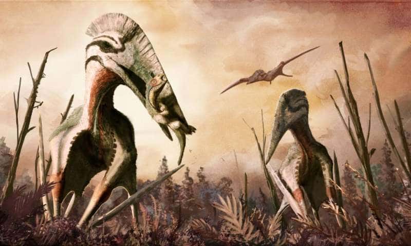 <i>Hatzegopteryx thambema</i>, un ptérosaure géant au cou puissant. © Mark Witton